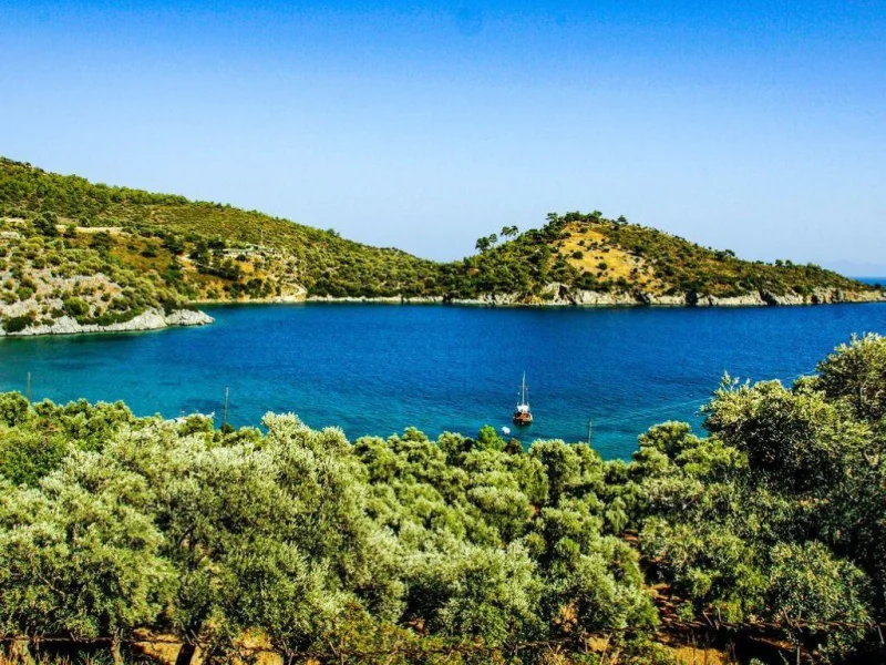 Gökova Gulf Voyage: 8-Day Shared Cruise (Bodrum – Gökova – Bodrum) - Image 2